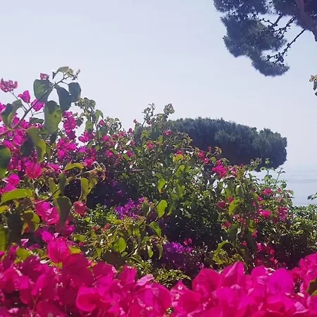 Casa vacanze Le Dolci Note
